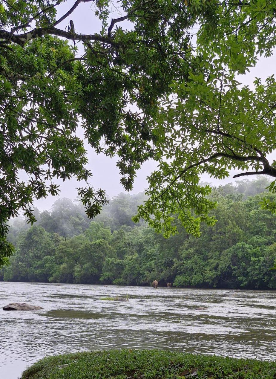 Falcon Riverview Resorts Kuttampuzha 外观 照片