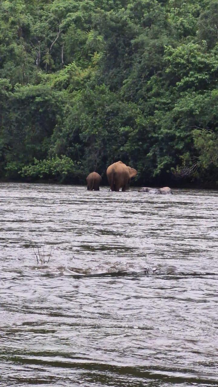 Falcon Riverview Resorts Kuttampuzha 外观 照片