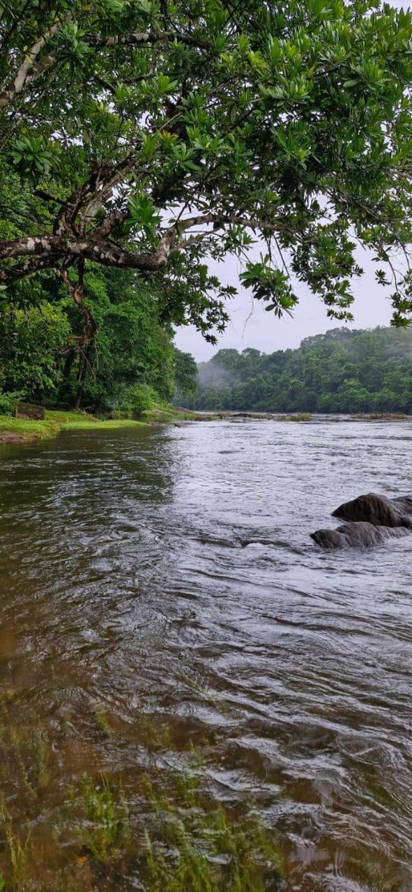 Falcon Riverview Resorts Kuttampuzha 外观 照片